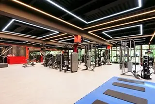 Gymnasium